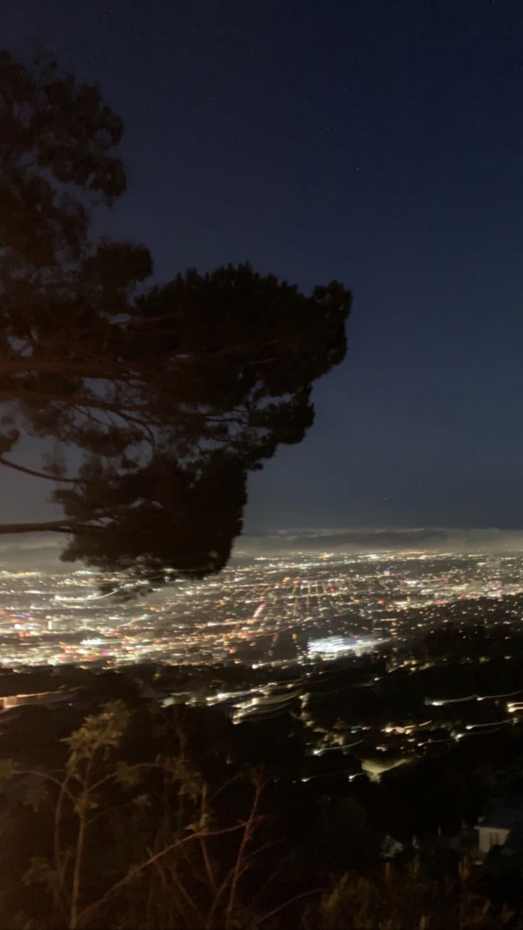 the city lights shine brightly in the distance as seen from atop a hill at night