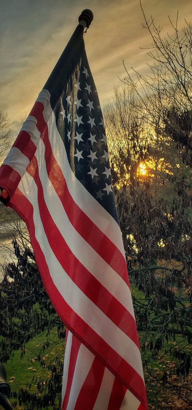 an american flag flying in the wind with trees and sky in the background at sunset