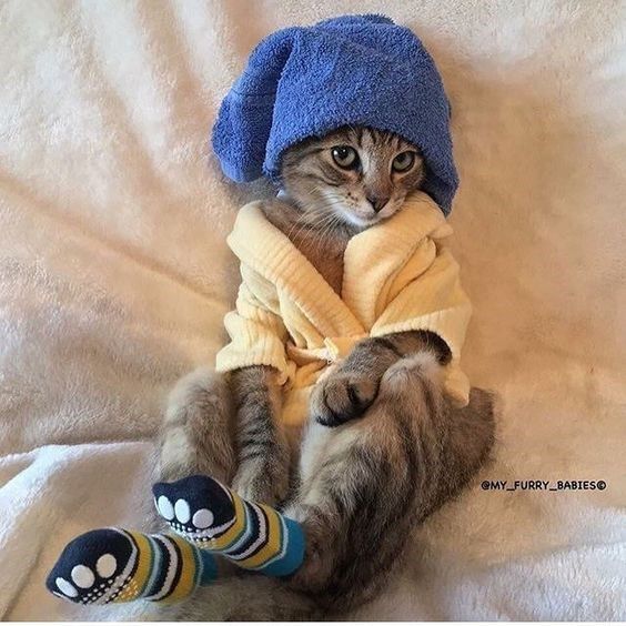 a cat with a towel on it's head is sitting on a bed wearing socks and a hat