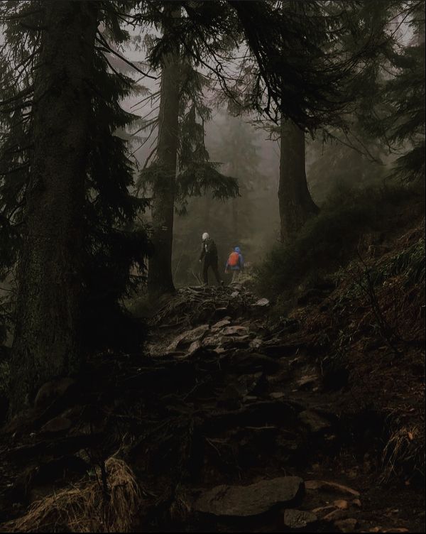 two people walking up a trail in the woods on a foggy day with trees