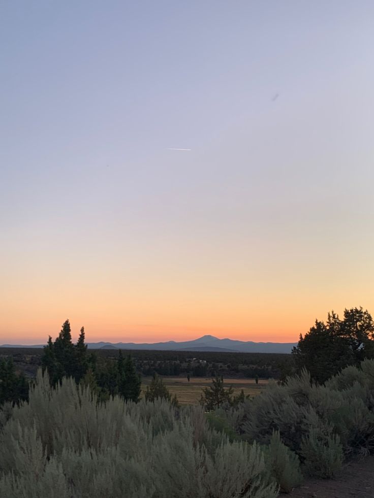 the sun is setting over some bushes and trees in the distance, with mountains in the distance