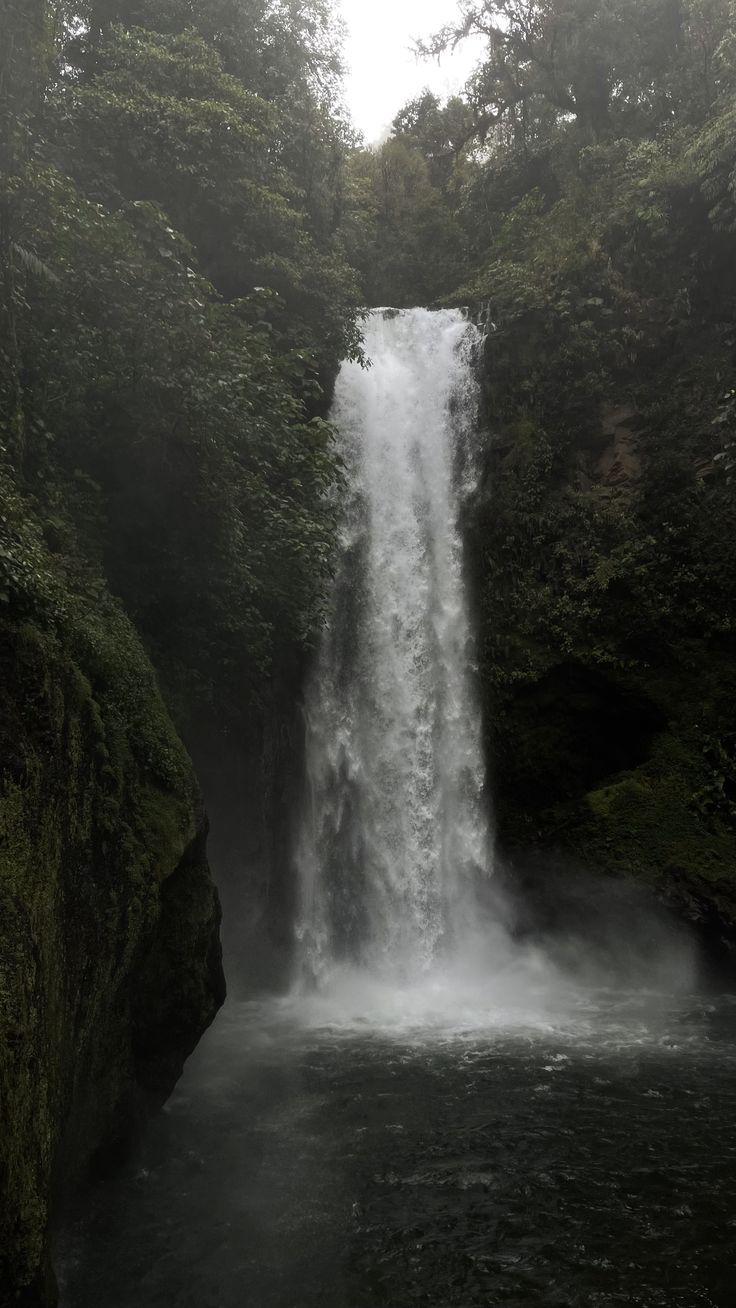 a large waterfall in the middle of a forest