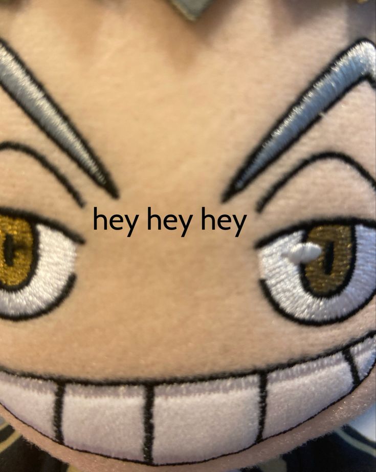 a close up of a stuffed animal with the words hey hey