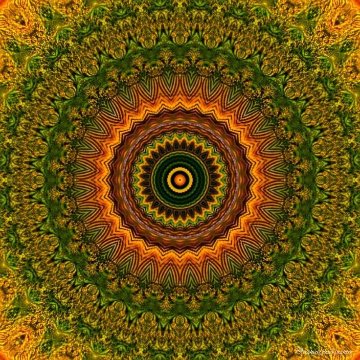 an image of a circular design in green and orange colors, with the center surrounded by leaves