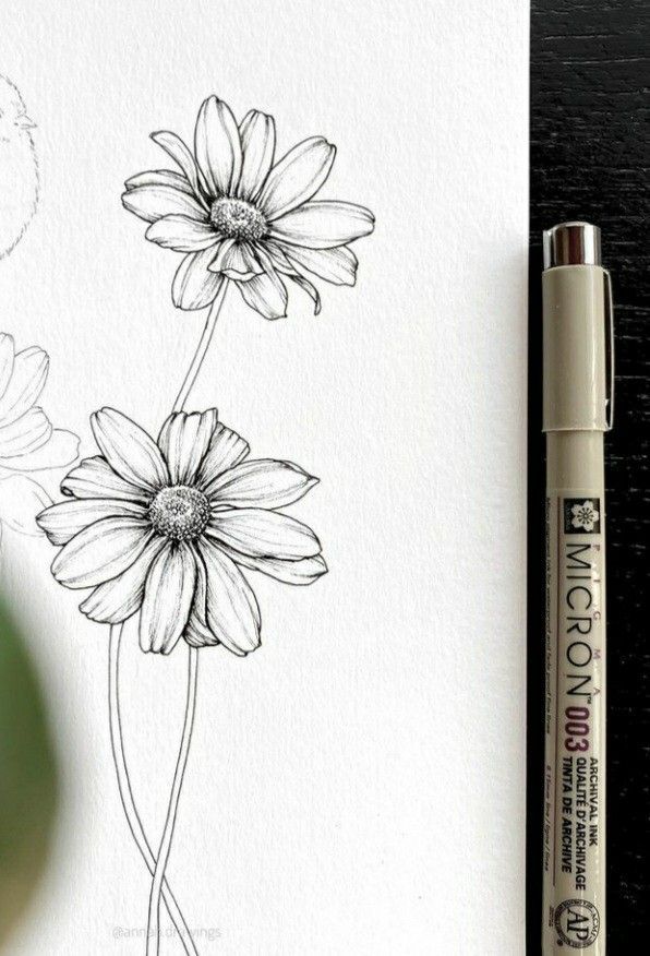 a drawing of two daisies on paper next to a marker and some ink pens