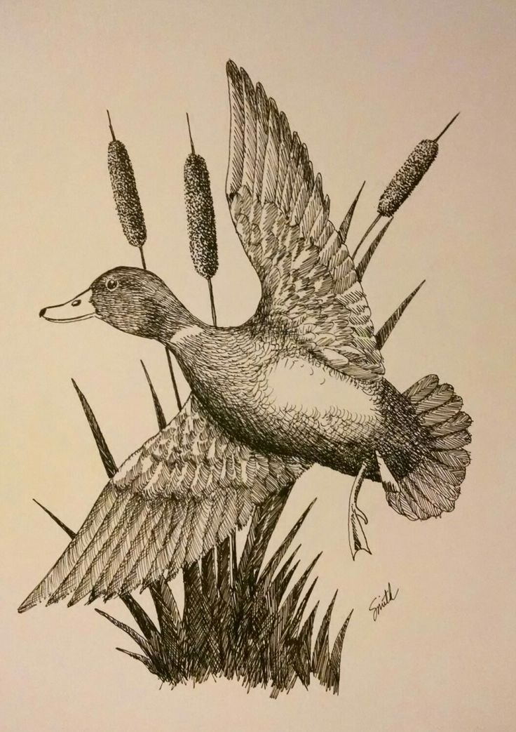 a pencil drawing of a bird flying over some tall grass and flowers in the air