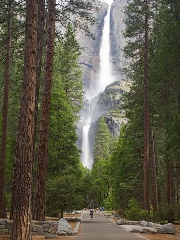 a large waterfall towering over a forest filled with lots of tall trees and people riding bikes