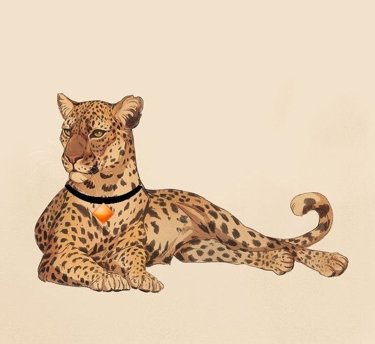 a drawing of a cheetah laying on the ground