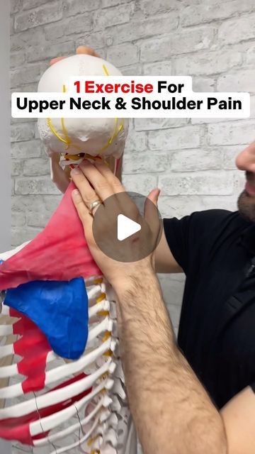 a man holding up a model of the neck and shoulder with text that reads, 1 exercise for upper neck & shoulder pain