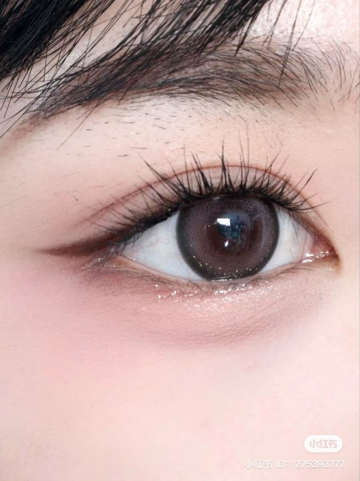 Eye Makeup For Chinese Eyes, No Eyelid Space Makeup, Soft Hooded Eye Makeup, Chinese Eyes Makeup, Douyin Makeup Eyeliner, Downturned Eyeliner Tutorial, Eyeliner For Small Hooded Eyes, Makeup For Double Eyelid, Korean Eyeliner Styles