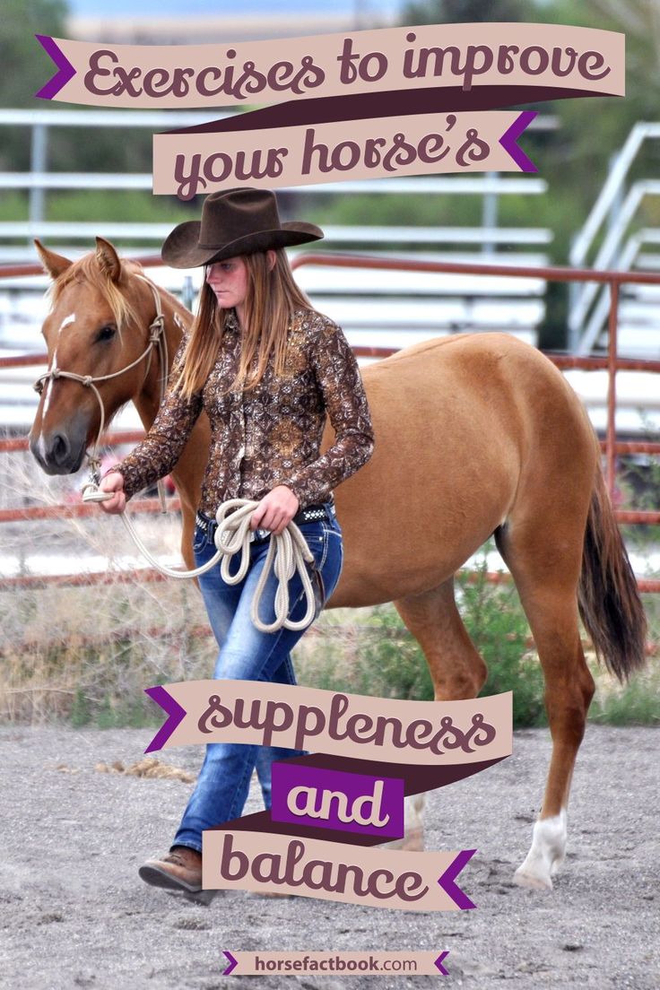 a woman is leading a horse in an arena with the words exercises to improve your horse's supplies and balance