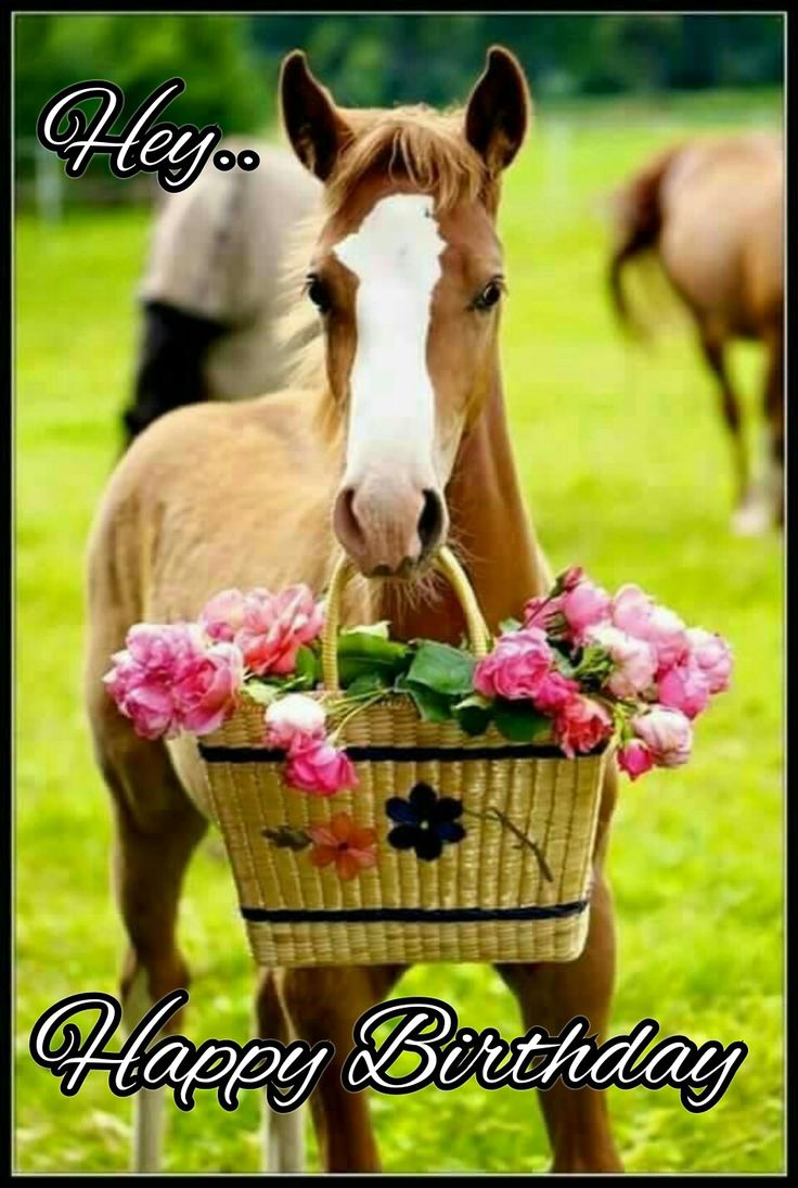 a brown horse standing on top of a lush green field next to a basket filled with flowers