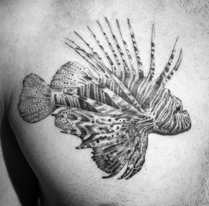 a black and white photo of a lionfish tattoo on the back of a man's chest