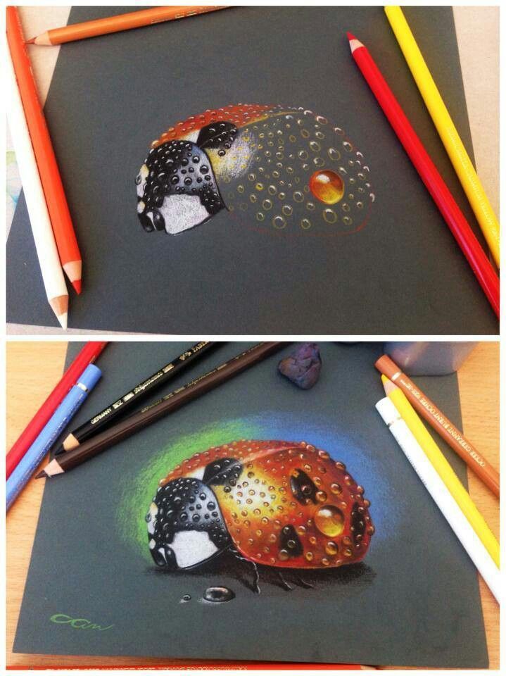 two pictures of colored pencils, one with a ladybug drawing on it