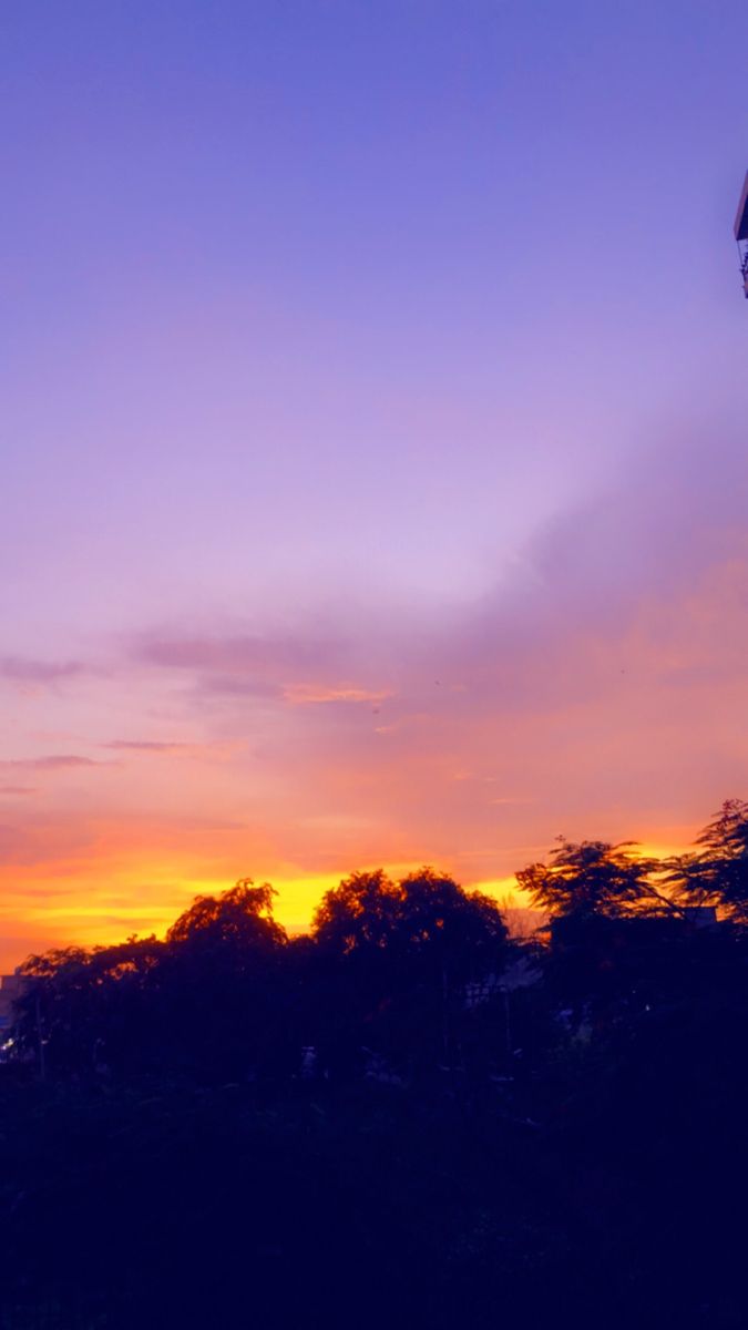 an airplane flying in the sky at sunset with trees and buildings behind it as the sun sets