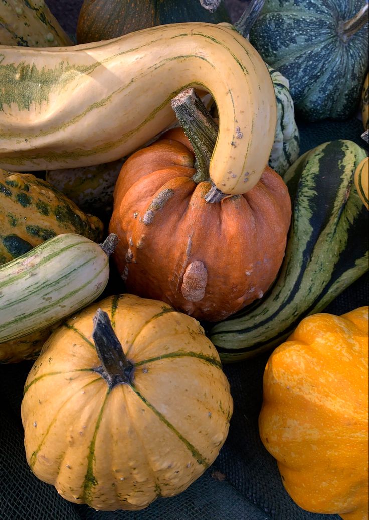 pumpkins, squash and gourds are piled on top of eachother