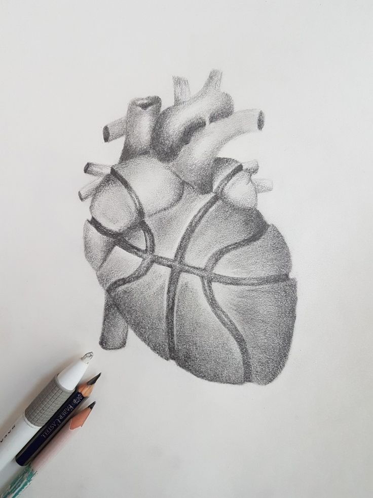 a pencil drawing of a heart on paper