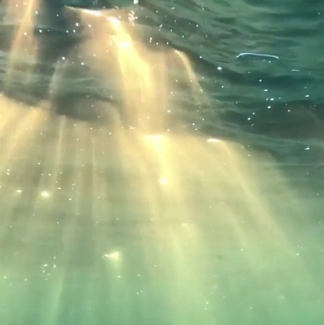 sunlight shining down on the water from below