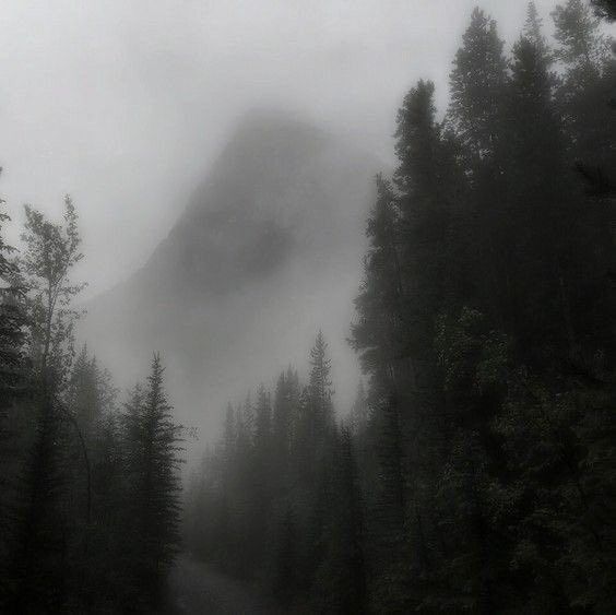 a road surrounded by trees in the middle of a foggy forest with a mountain in the distance