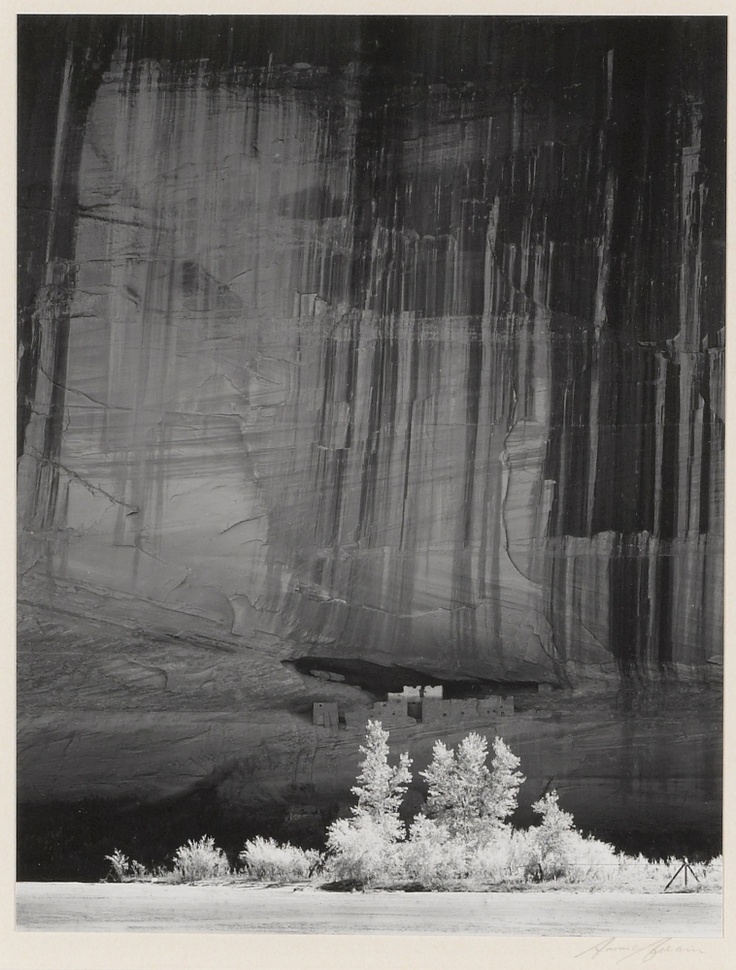 black and white photograph of trees in front of a cliff