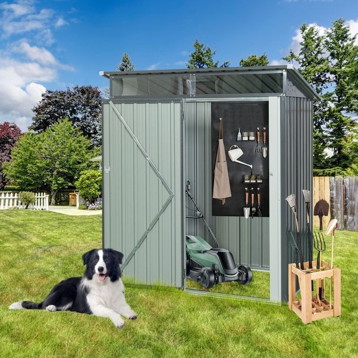 a dog laying in the grass next to a shed with its door open and tools hanging on it