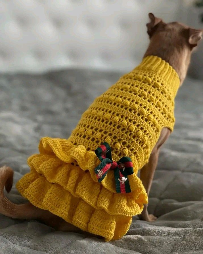 a dog wearing a yellow sweater with ruffles