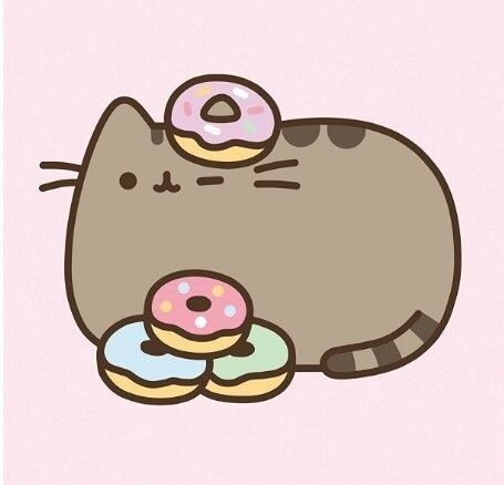 a cat that is laying down with donuts