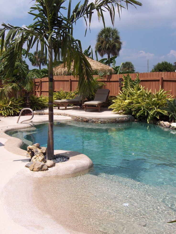 a palm tree sitting in the middle of a pool