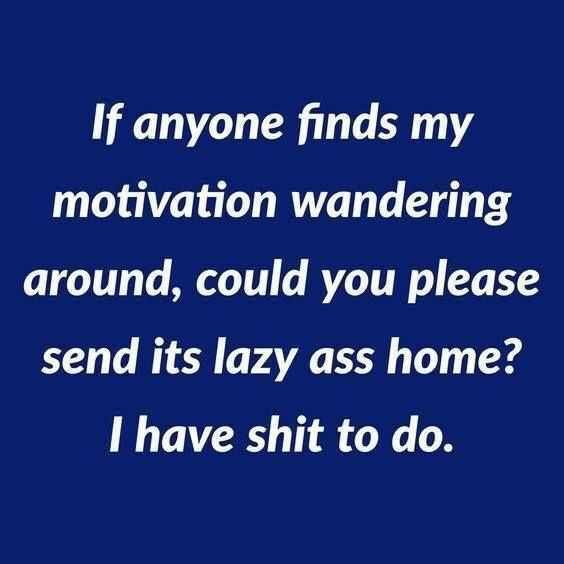 My Motivation, Twisted Humor, Sarcastic Humor, Sarcastic Quotes, Fun Quotes Funny, Infj, Funny Signs, Quotes Funny, Bones Funny