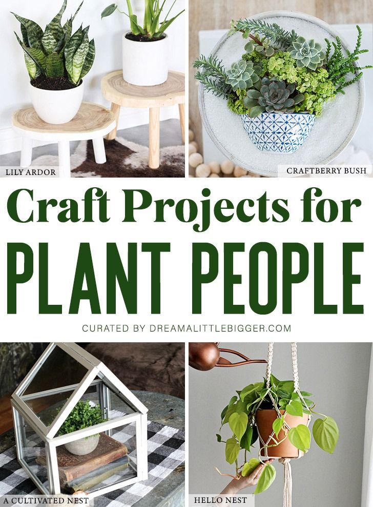 some plants and other things that are in the shape of houseplants with text overlay reading craft projects for plant people