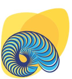 an abstract blue and yellow spiral design on a white background