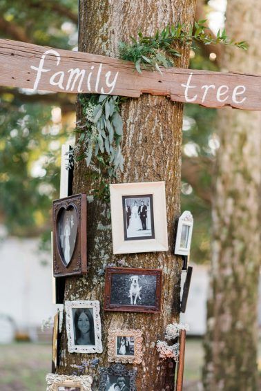 the family tree is decorated with pictures and framed photos, which are hung on a wooden post