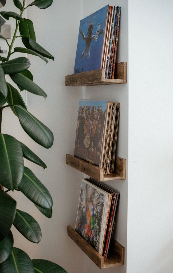 three wooden shelves holding books and magazines on top of a wall next to a potted plant