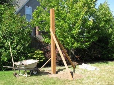 an old wheelbarrow is being used as a garden tool