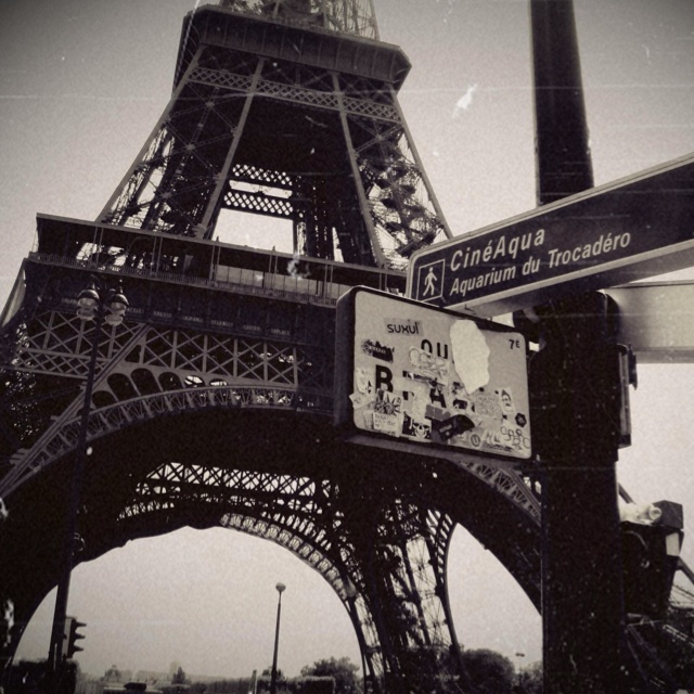 black and white photograph of the eiffel tower with street signs in paris, france