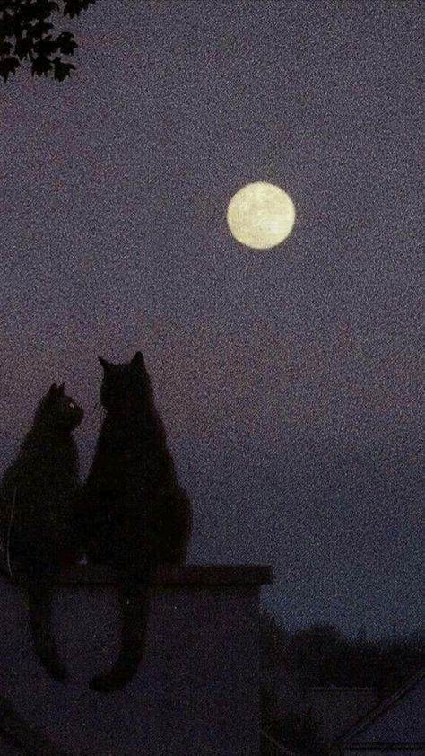 two cats sitting on top of a roof at night with the moon in the background