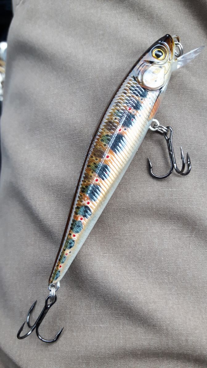 a fishing lure on the back of a man's shirt