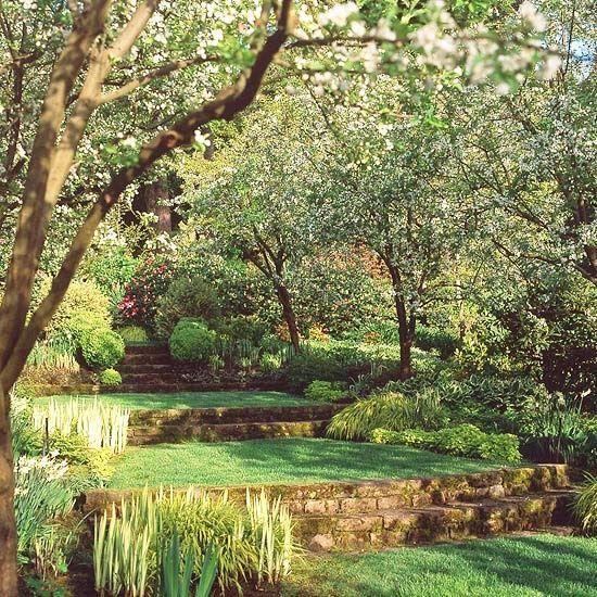 an image of a beautiful garden setting with trees and flowers on the side of it