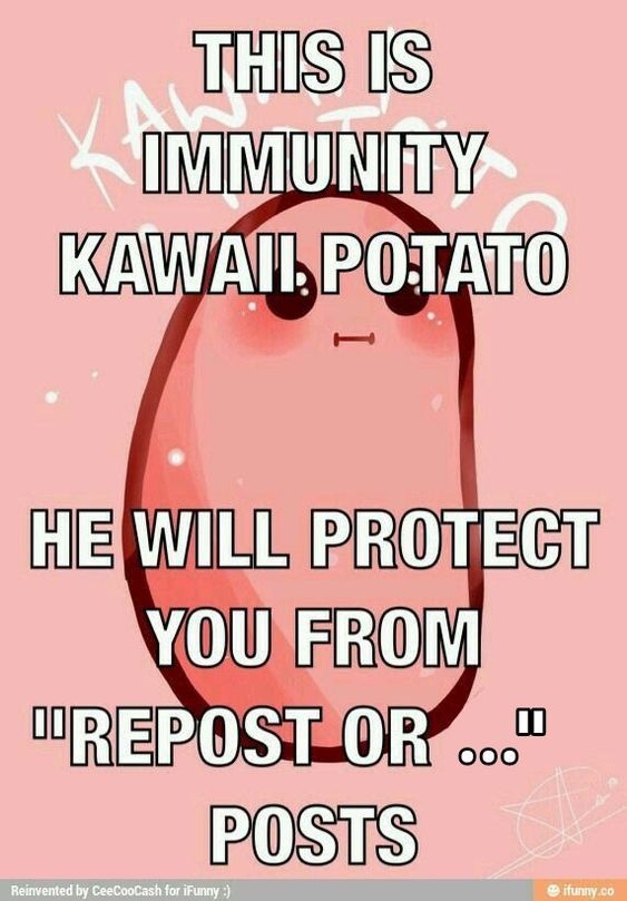 a pink poster with the words, this is community kawaii potato he will protect you from repostor posts