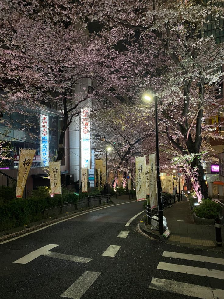 an empty street with cherry blossom trees lining the sidewalks and buildings in the background at night