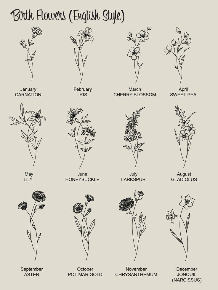 the british flowers and their names are shown in this hand drawn illustration, which includes different types