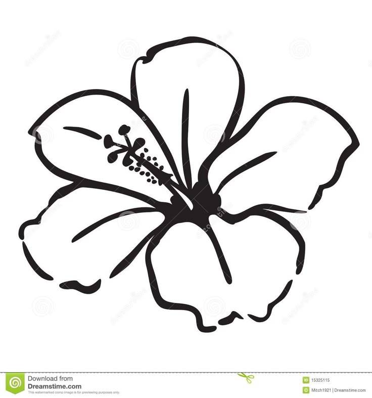 a black and white drawing of a flower