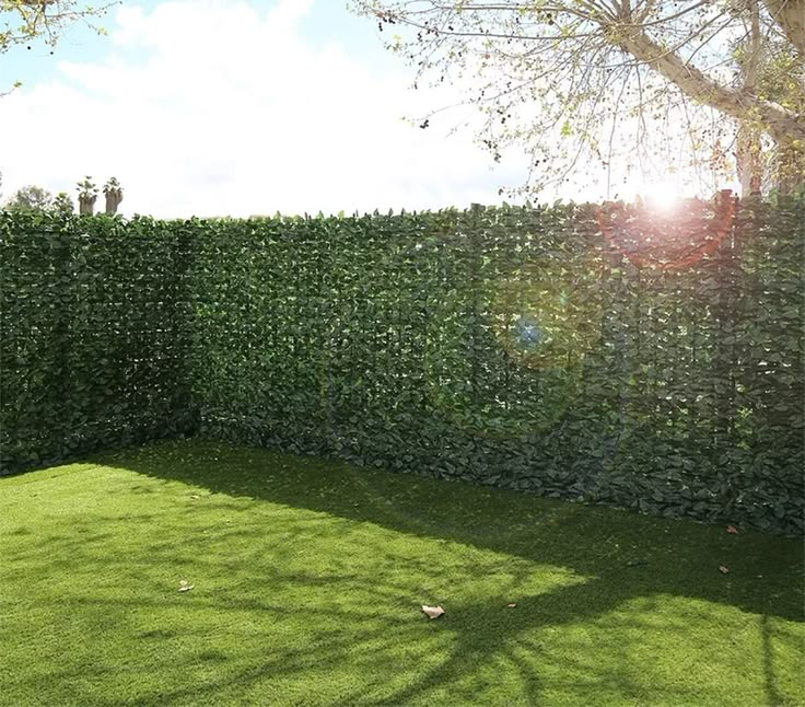 a large green hedge next to a tree in a yard with the sun shining on it