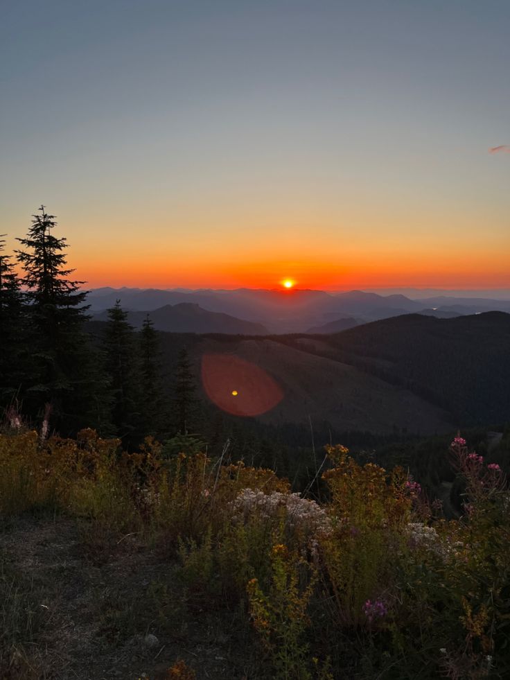 the sun is setting in the distance over some trees and bushes on top of a hill