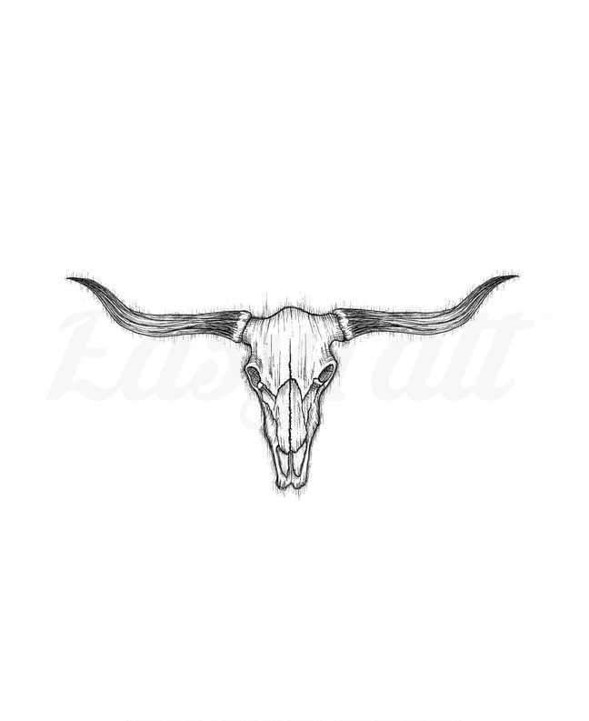 a bull's skull with long horns drawn in pencil