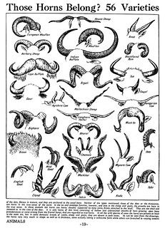 an old book with different types of horns