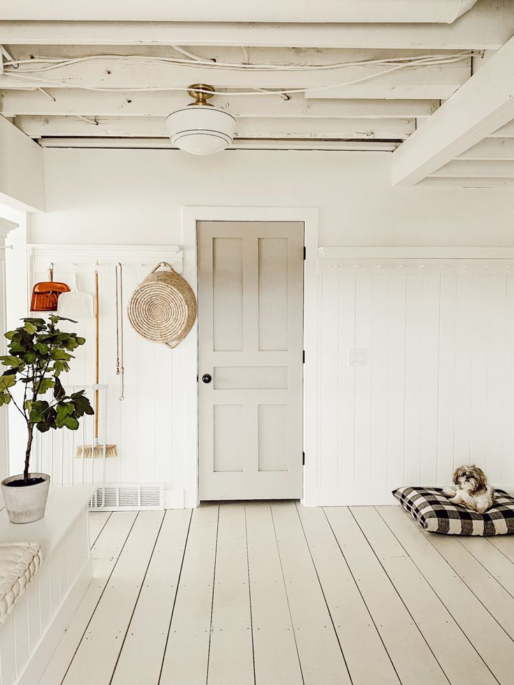 a white room with a dog laying on the floor and a basket hanging from the ceiling