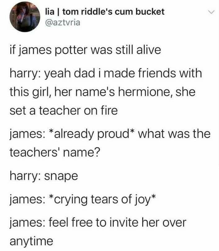 the text on this tweet reads, if james potter was still alive harry