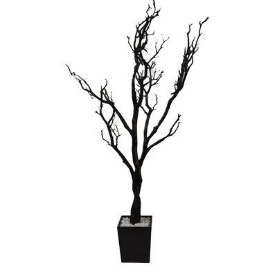 a tree with no leaves in a black pot on a white background, it's dark and spooky