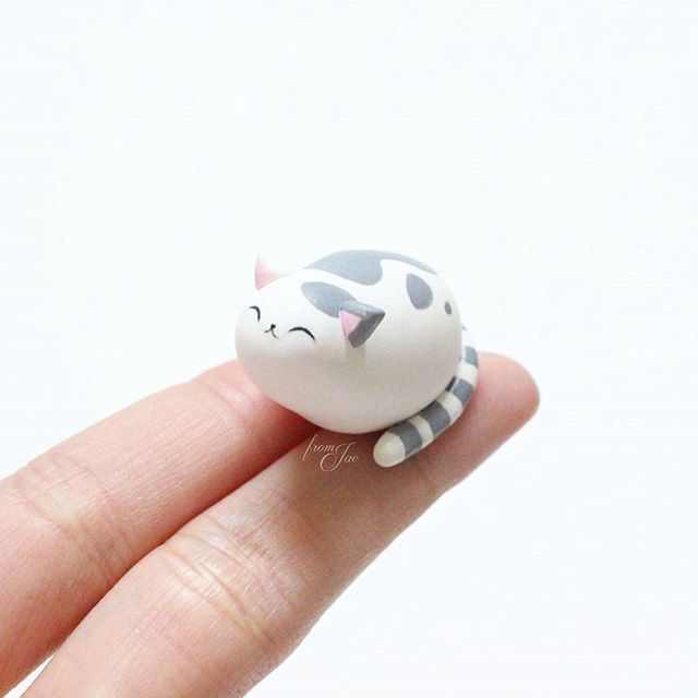 a tiny white and black cat sitting on top of a finger